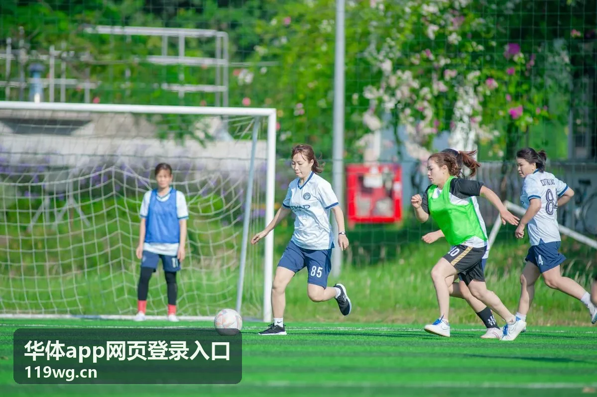 华体app网页登录入口会员内容预览-内容更新规则