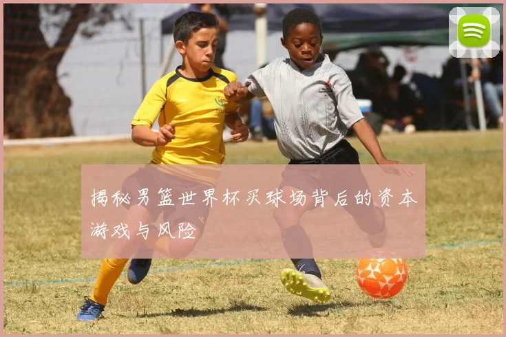 揭秘男篮世界杯买球场背后的资本游戏与风险