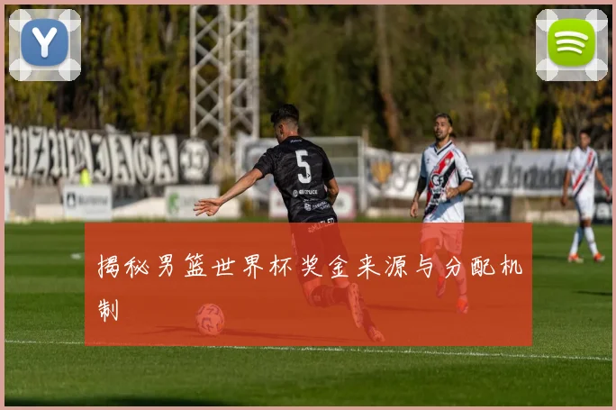 揭秘男篮世界杯奖金来源与分配机制