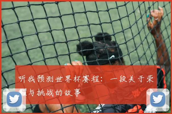 听我预测世界杯赛程：一段关于荣耀与挑战的故事